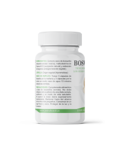 Boswellia Serrata – Salud Articular 2