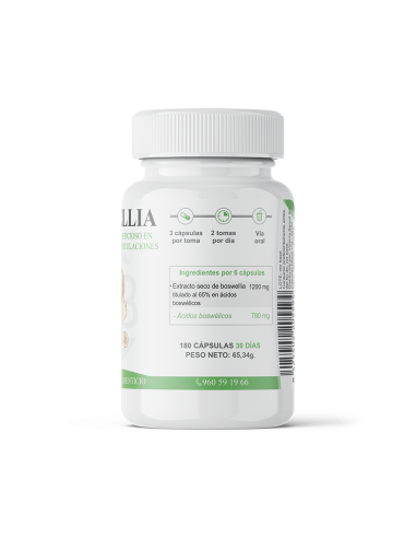 Boswellia Serrata – Salud Articular