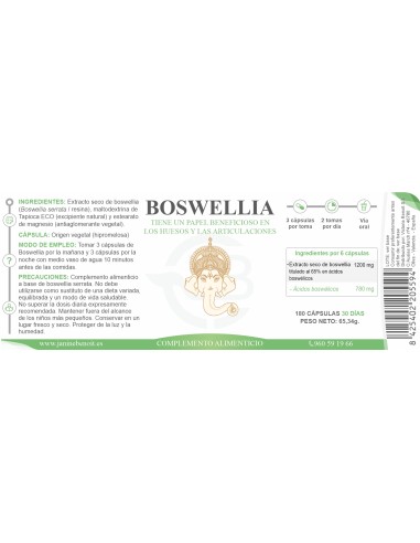 Boswellia Serrata – Salud Articular