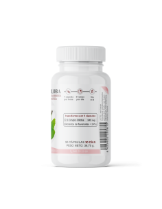 Ginkgo Biloba Cápsulas 2