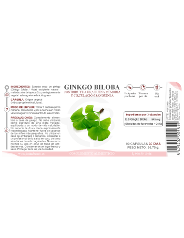 Ginkgo Biloba cápsulas
