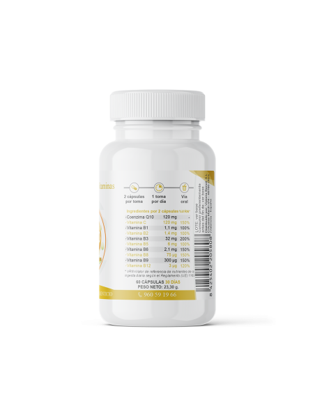 Q10 + Vitaminas - Antioxidante