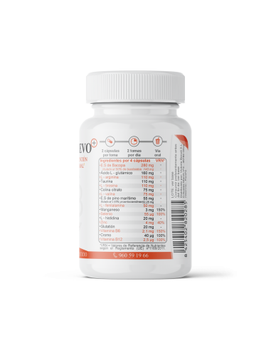 Quotient + EVO - Memoria y concentración