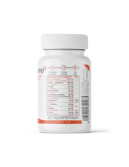 Quotient + EVO - Memoria y concentración