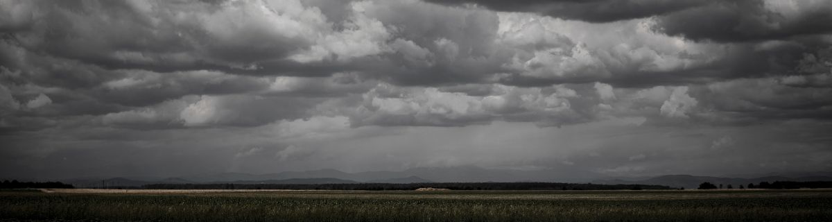 vitamina d3 sistema inmunitario energia