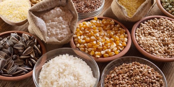 ¿Qué oligoelementos ayudan al sistema inmunitario?
